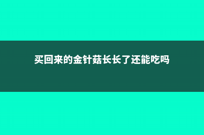 买回来的金针菇根别扔，放在水里，还能长出好几捆！ (买回来的金针菇长长了还能吃吗)