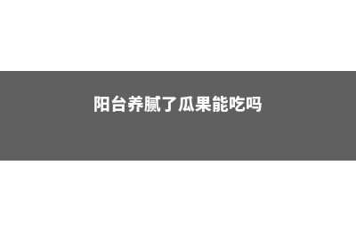 阳台养腻了瓜果蔬菜？不如种点“果核”，长出来的盆栽超可爱 (阳台养腻了瓜果能吃吗)