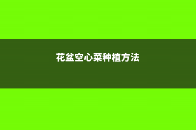 家里养盆“空心菜”，营养丰富好处多，关键是好养 (花盆空心菜种植方法)