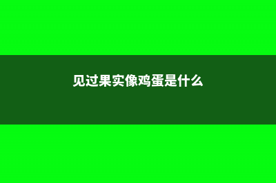 见过果实像鸡蛋的盆栽吗，种上之后，营养含量高结果更是快！ (见过果实像鸡蛋是什么)