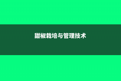 阳台甜椒怎么种？正确育苗是关键！ (甜椒栽培与管理技术)