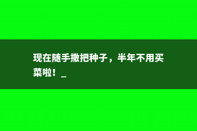 现在随手撒把种子，半年不用买菜啦！ 