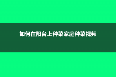 「阳台种菜视频」通心菜 (如何在阳台上种菜家庭种菜视频)