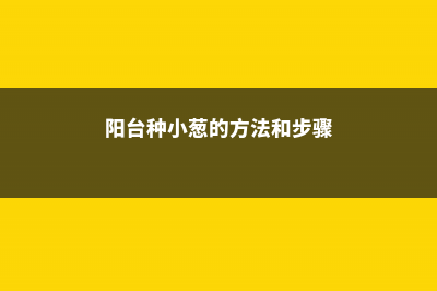 阳台怎么种小葱 (阳台种小葱的方法和步骤)