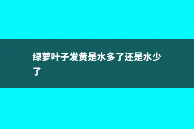 绿萝叶子发黄是什么原因 ，怎么补救 (绿萝叶子发黄是水多了还是水少了)