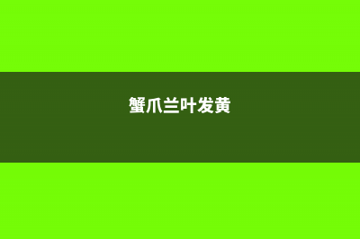 蟹爪兰黄叶是什么原因，用什么补救 (蟹爪兰叶发黄)