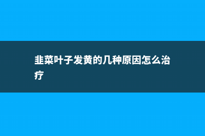 韭菜叶子发黄的原因，韭菜叶子发红还能吃吗 (韭菜叶子发黄的几种原因怎么治疗)