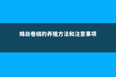 蛛丝卷绢黄叶的原因和处理办法 (蛛丝卷绢的养殖方法和注意事项)