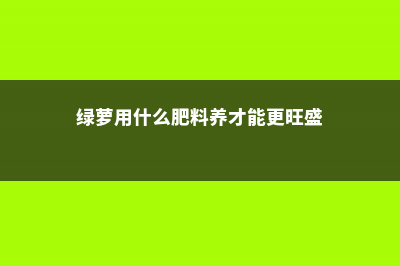 绿萝用什么肥料叶子绿，叶子不绿怎么办 (绿萝用什么肥料养才能更旺盛)