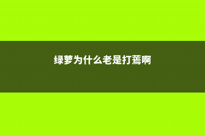 “绿萝”为啥总黄叶？老花农告诉你，因为缺了“它” (绿萝为什么老是打蔫啊)