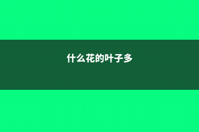 这3种花，叶子枯黄千万别扔，狠狠心全剪掉后新芽呼呼冒！ (什么花的叶子多)