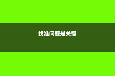 找准原因，彻底解决紫根兰叶子发黄，油亮又精神！ (找准问题是关键)