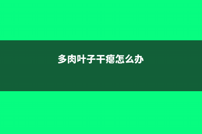 多肉叶子干瘪怎么办 (多肉叶子干瘪怎么办)