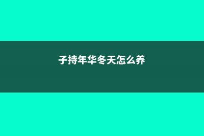 子持年华叶子发黄怎么办 (子持年华冬天怎么养)