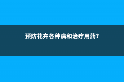 怎样预防花卉入房后黄叶现象 (预防花卉各种病和治疗用药?)