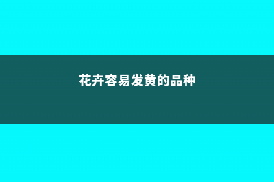 花卉容易发黄的11种原因 (花卉容易发黄的品种)