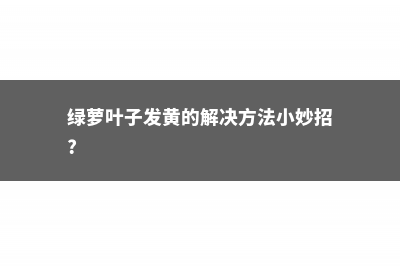 绿萝叶子发黄的原因及解决方法 (绿萝叶子发黄的解决方法小妙招?)