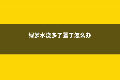 绿萝浇水太多烂根了怎么办，烂根有什么表现 (绿萝水浇多了蔫了怎么办)