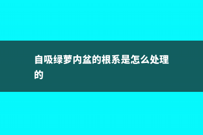 自吸盆绿萝烂根怎么办，自吸盆怎么浇水和加水 (自吸绿萝内盆的根系是怎么处理的)