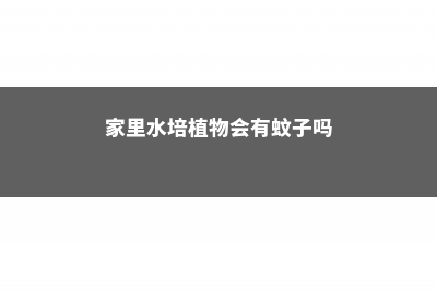 家里水培的植物总“烂根”，不知道原因？其实怪在“营养液” (家里水培植物会有蚊子吗)