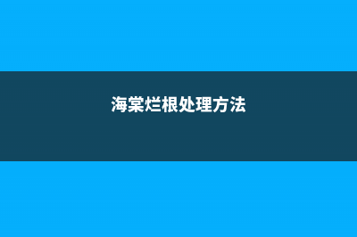 海棠烂根怎么救 (海棠烂根处理方法)