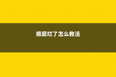 根烂成这样都被养活了！怎么做到的 (根腐烂了怎么救活)