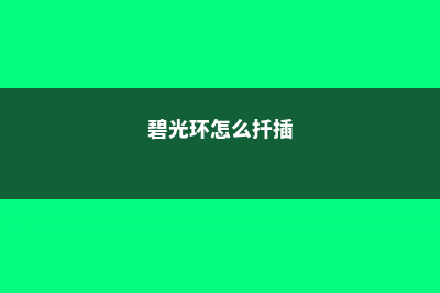 碧光环烂根怎么办 (碧光环怎么扦插)