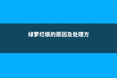 绿萝烂根的原因及处理方法 (绿萝烂根的原因及处理方)