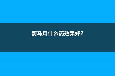 蓟马用什么药效果最好，怎么防治 (蓟马用什么药效果好?)