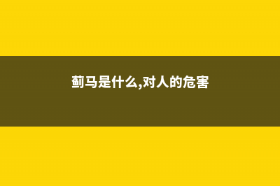 蓟马是什么，对人体有害吗 (蓟马是什么,对人的危害)