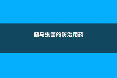 蓟马虫害的防治方法 (蓟马虫害的防治用药)