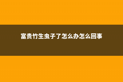 富贵竹生虫是怎么回事，富贵竹生虫子了怎么办 (富贵竹生虫子了怎么办怎么回事)