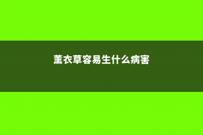 吊兰长虫子怎么办，长虫用什么方法除虫 (吊兰长虫了要喷什么药水)