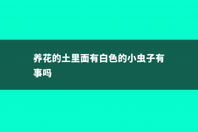 养花的土里有白色的虫怎么办 (养花的土里面有白色的小虫子有事吗)