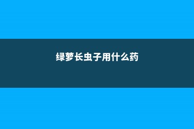 绿萝生虫子怎么办 (绿萝长虫子用什么药)