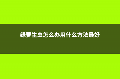 绿萝生虫怎么办 (绿萝生虫怎么办用什么方法最好)