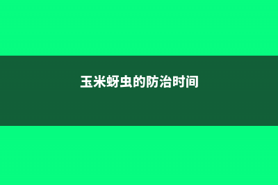 玉米蚜虫的防治方法 (玉米蚜虫的防治时间)