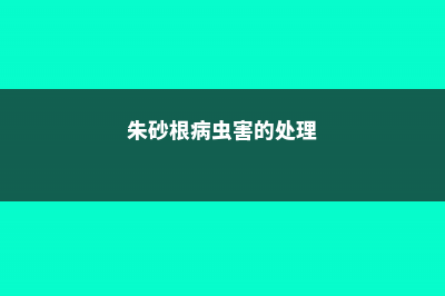 朱砂根有虫子了怎么办 (朱砂根病虫害的处理)