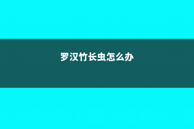 罗汉竹长虫怎么办 (罗汉竹长虫怎么办)