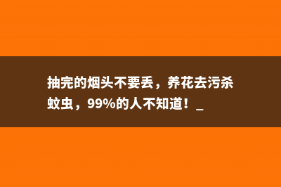 抽完的烟头不要丢，养花去污杀蚊虫，99％的人不知道！ 