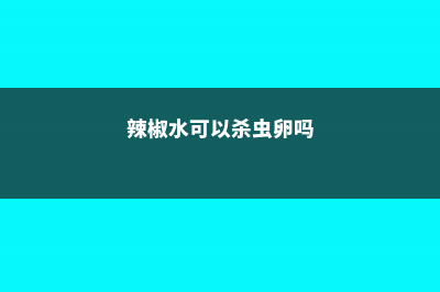 辣椒水可以杀虫吗 (辣椒水可以杀虫卵吗)