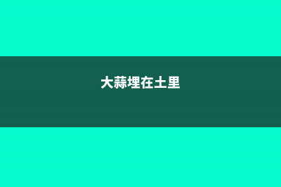 几粒大蒜埋土里，虫子蚂蚁全部死光光，1个不留！ (大蒜埋在土里)