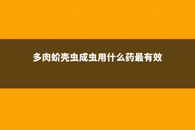 多肉爬满蚧壳虫？用这7种方法，3天就能一扫而光！ (多肉蚧壳虫成虫用什么药最有效)