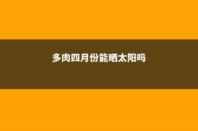 4月养多肉，比蚧壳虫更可怕的，竟然是它们！ (多肉四月份能晒太阳吗)