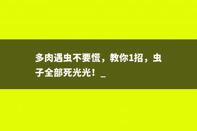 多肉遇虫不要慌，教你1招，虫子全部死光光！ 