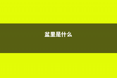 盆里加点它，虫子全死光，叶绿花艳蹭蹭长！ (盆里是什么)