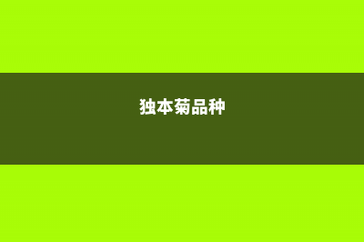 独本菊的病虫害防治 (独本菊品种)