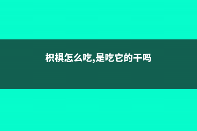 枳椇的病虫防治 (枳椇怎么吃,是吃它的干吗)