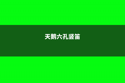 红鳞蒲桃的病害防治 (天鹅六孔竖笛)