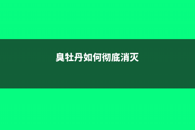 臭牡丹的病虫害及其防治 (臭牡丹如何彻底消灭)